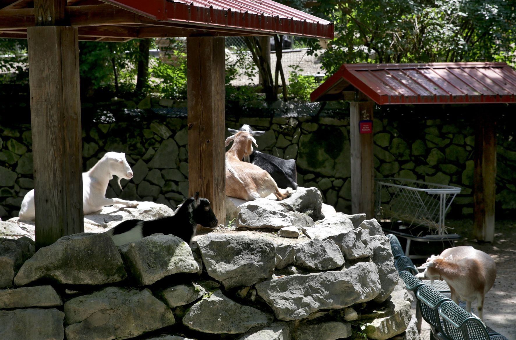 St. Louis Children's Zoo to close this fall